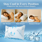 Cooling Bamboo Memory Foam Pillow (Queen, 2 Pack)