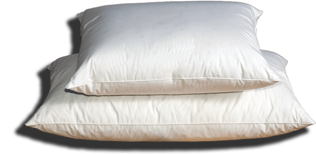 Large Pillows and Square Pillows European sizes